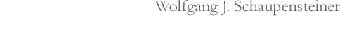 Wolfgang J. Schaupensteiner Corporate Risk & Compliance Consulting